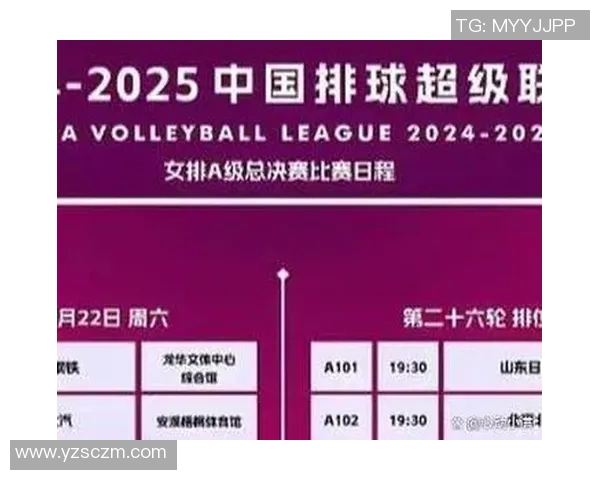 上海排球队与深圳排球队耐力对决赛后分析与反思