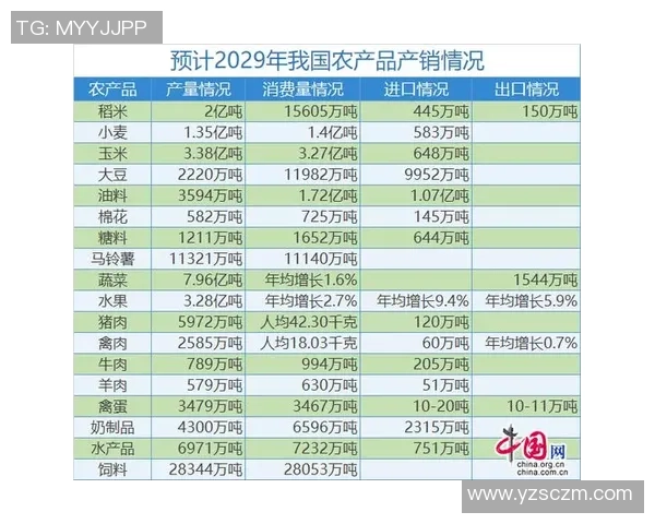 深圳排球队实力分析与发展潜力探讨及未来展望 深圳排球队实力分析与发展潜力探讨及未来展望